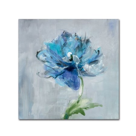 Danhui Nai 'Floral Bloom II V2' Canvas Art,14x14